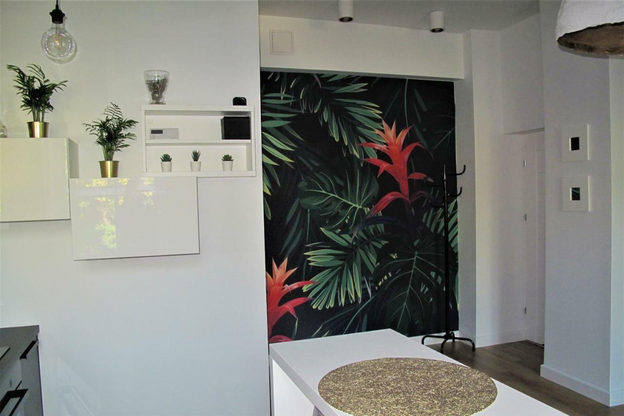 Apartament By The Way Διαμέρισμα Βρότσλαβ Εξωτερικό φωτογραφία